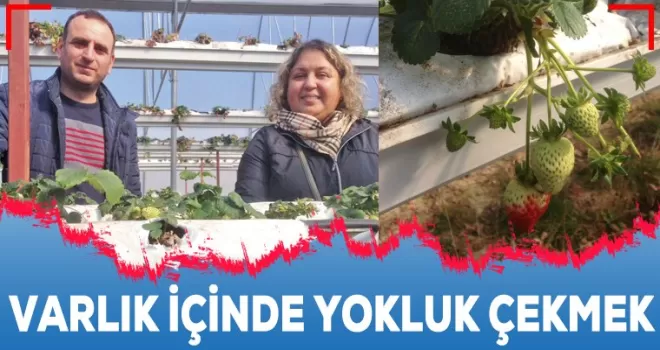 Varlık içinde  yokluk çekmek