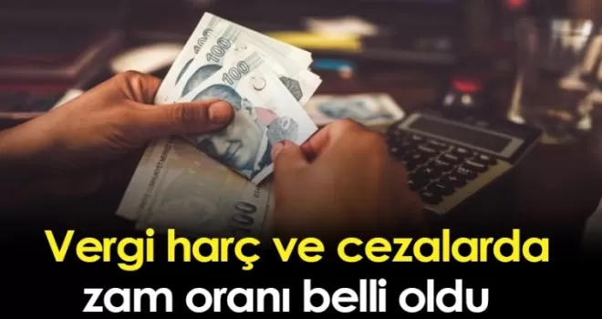 Vergi, harç ve cezalarda zam oranı belli oldu
