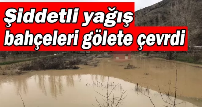 Yağmur vurdu! Gümüşhane’de bahçeler gölete döndü!