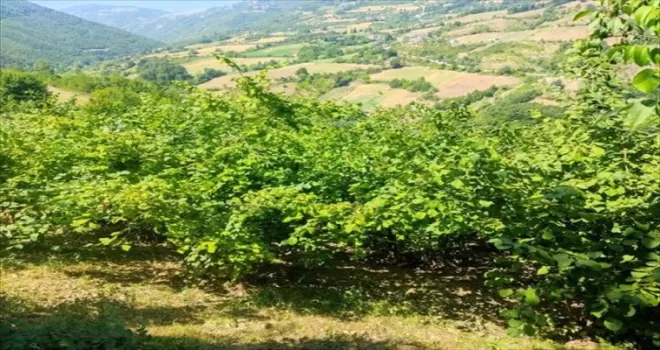 Yakakent’ten kısa kısa