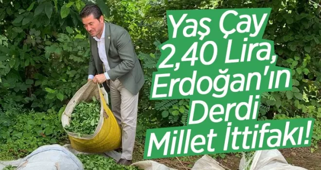 Yaş Çay 2,40 Lira, Erdoğan'ın Derdi Millet İttifakı!
