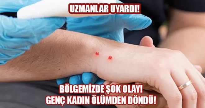Yılan tarafından ısırılan kadın, Trabzon’da ölümden döndü...