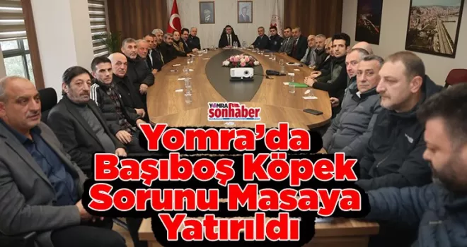 Yomra’da Başıboş Köpek Sorunu Masaya Yatırıldı