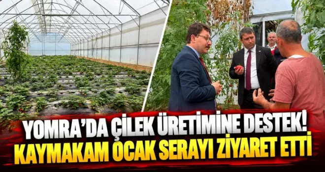 YOMRA’DA ÇİLEK ÜRETİMİNE DESTEK! KAYMAKAM OCAK SERAYI ZİYARET ETTİ