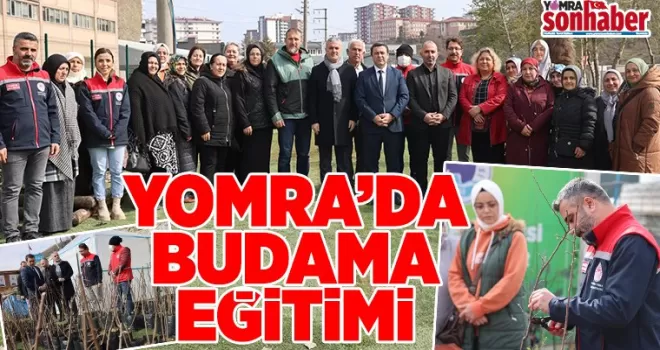 Yomra’da Meyvecilikte Aşılama ve Budama Eğitimi Düzenlendi