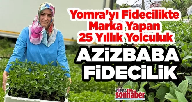 YOMRA’DAN TÜRKİYE’YE KALİTELİ FİDE: AZİZBABA FİDECİLİK