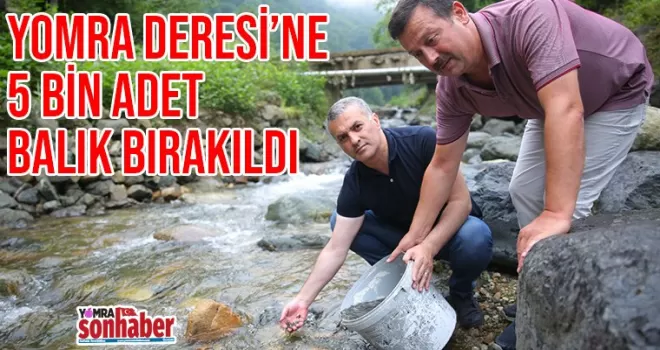 YOMRA DERESİ’NE 5 BİN ADET BALIK BIRAKILDI