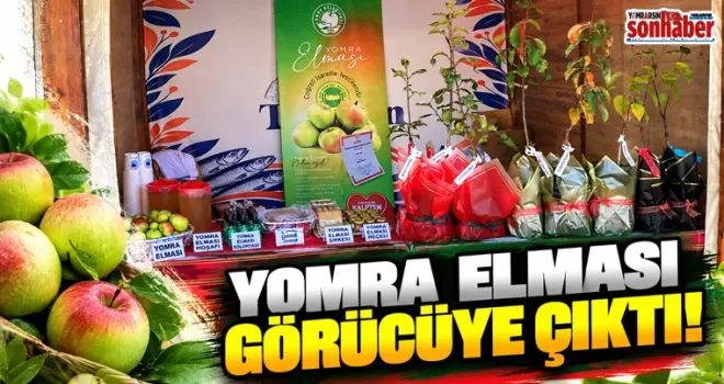 YOMRA ELMASI, TRABZON GASTRONOMİ FESTİVALİ’NDE GÖRÜCÜYE ÇIKTI!