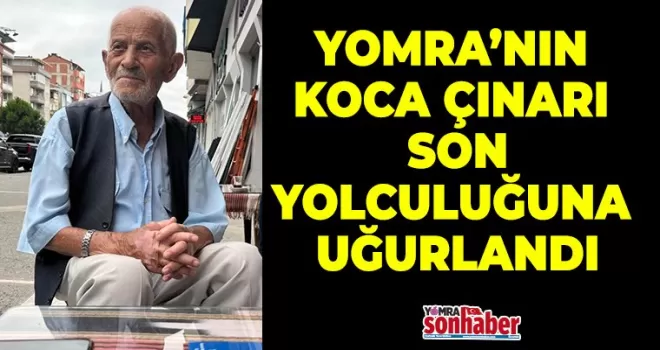 YOMRA’NIN KOCA ÇINARI HAYATA VEDA ETTİ