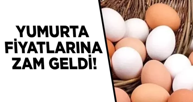 Yumurtaya zam geldi!