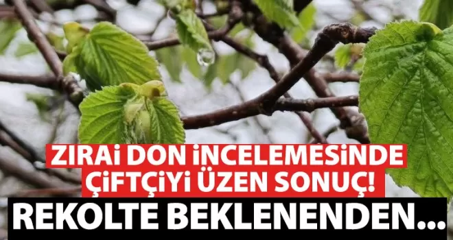 Zirai don incelemesinde çiftçiyi üzen sonuç! Rekolte beklenenden...