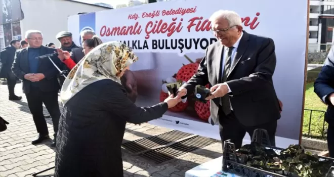 Zonguldak'ta 3 bin Osmanlı çileği fidesi dağıtıldı
