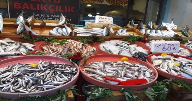 Zonguldak'ta balık tezgahlarında bolluk yaşanıyor