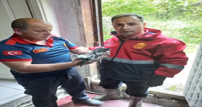 Zonguldak’ta iki duvar arasına sıkışan kedi yavrusu kurtarıldı