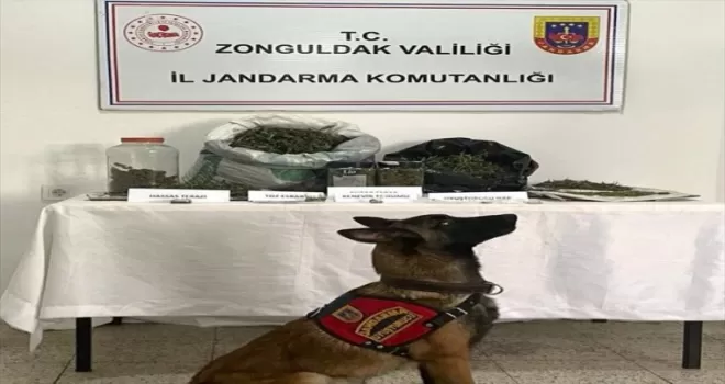 Zonguldak'ta uyuşturucu operasyonunda yakalanan zanlı tutuklandı