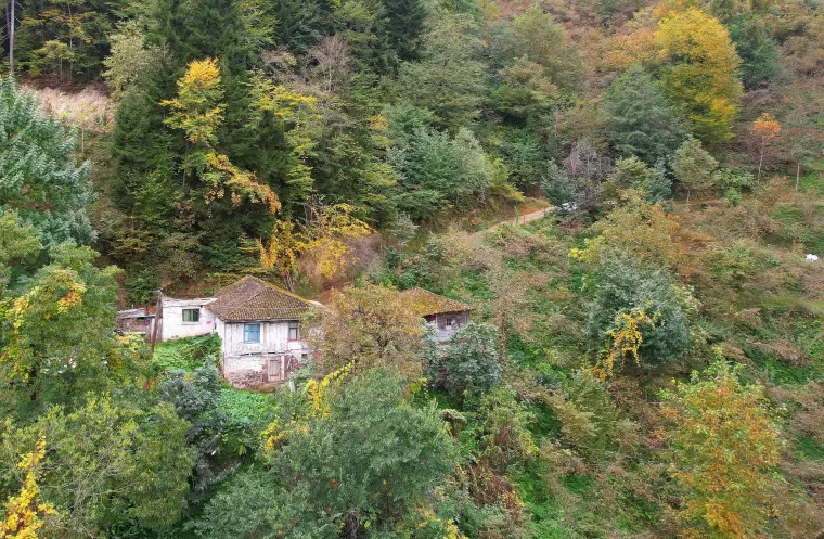 Yomra'da Sonhabar Hayran Bırakıyor