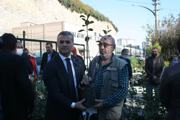 Yomra Elması Fidanı Dağıtıldı