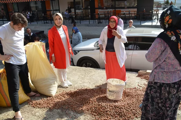 Milletvekili Bahar Ayvazoğlu Kaşüstü'nde 