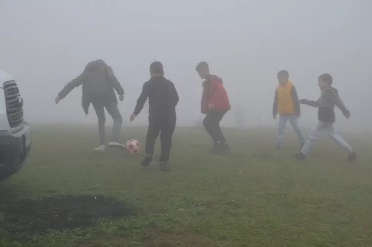 Muhteşem Festival