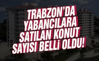 Trabzon'da yabacılara kaç konut satıldı?