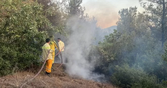 Tokat’ta çıkan orman yangınına müdahale ediliyor