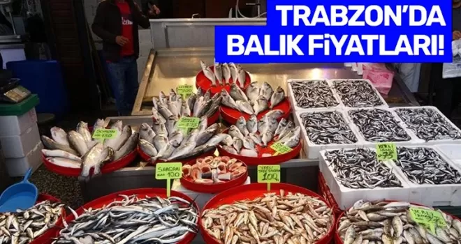 Trabzon’un balığı Batı Karadeniz’den! İşte balık fiyatları